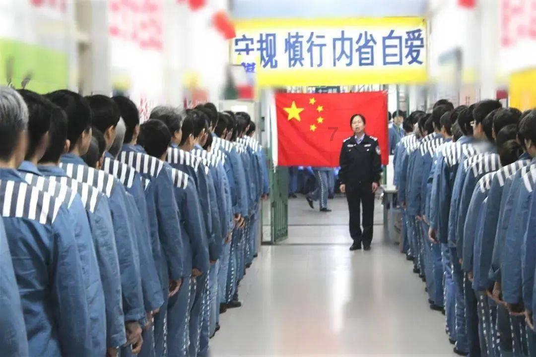 穿越遗弃的森林