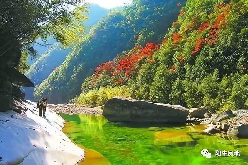 不吃糖会越来越健康吗?-知识星球,你的智慧秘籍