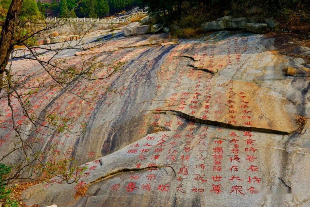 逃离上升的热气球